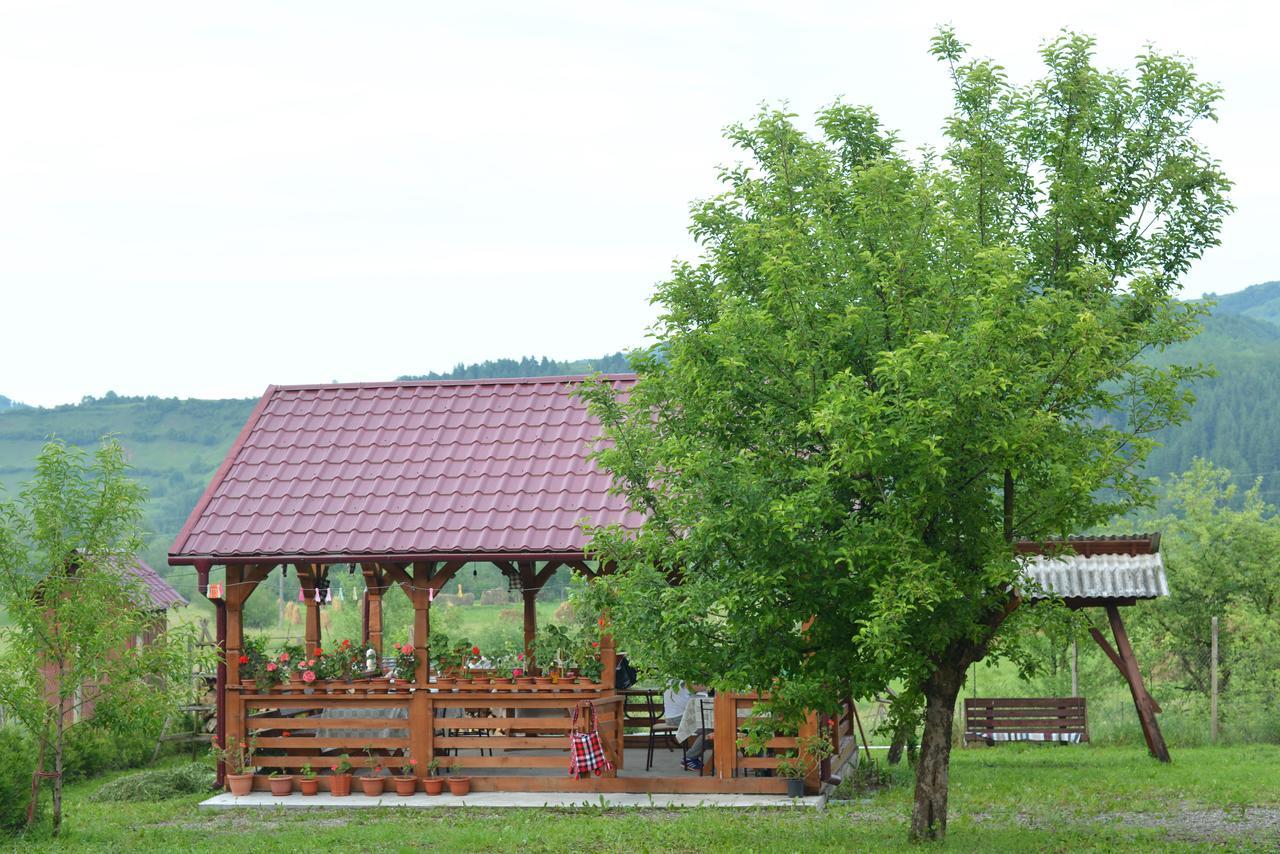 Pensiunea Popan Şieu Exteriér fotografie